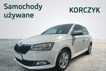 / 1.0 MPI 60 KM/ LPG/ Ambition/ samochód ciężarowy