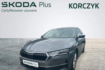 Liftback / 1.5 TSI mHev 150 KM/ 7DSG/ Selection